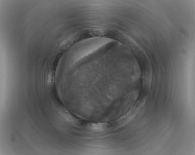 X0000113180134200909181901