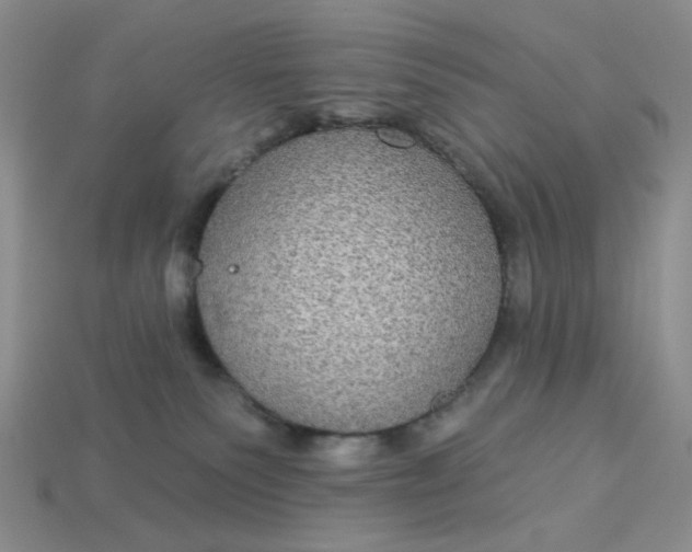 X0000113180135200909181901