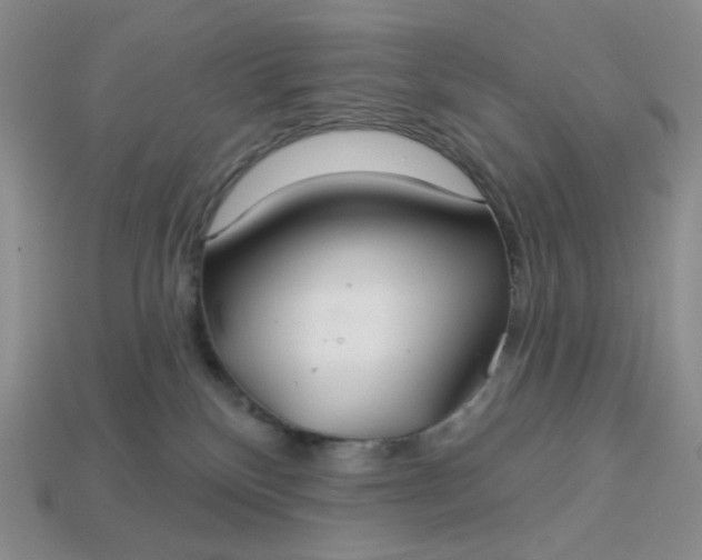 X0000113180136200909181901