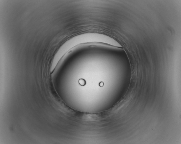 X0000113180137200909181901