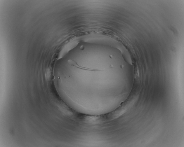 X0000113180139200909181901