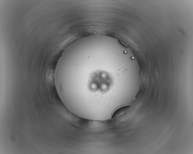 X0000113180141200909181901