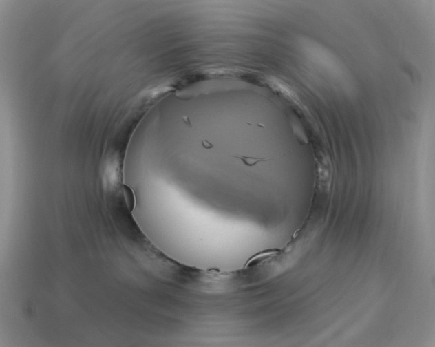 X0000113180143200909181901