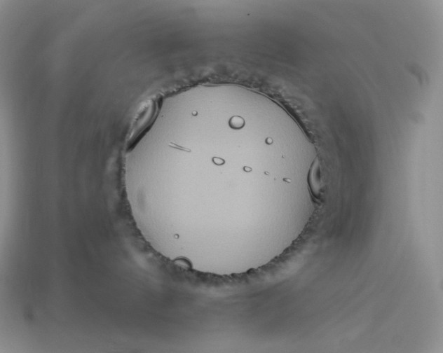 X0000113180144200909181901