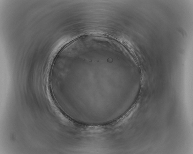 X0000113180145200909181901