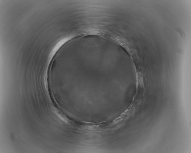 X0000113180147200909181901