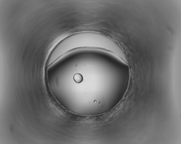 X0000113180148200909181901