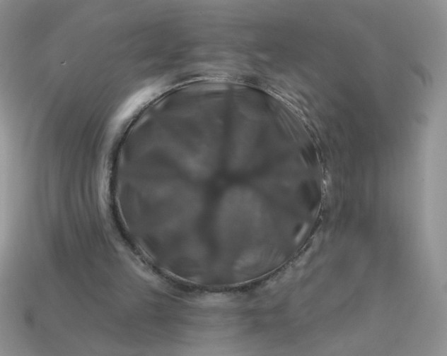 X0000113180149200909181901