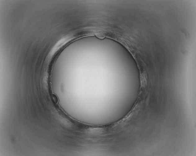 X0000113180150200909181901