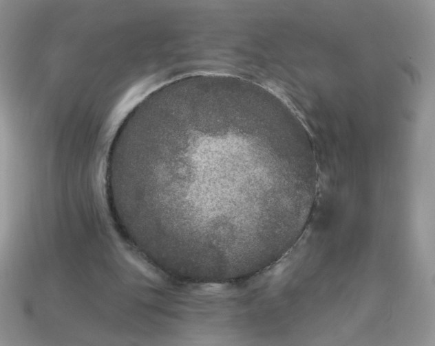 X0000113180151200909181901