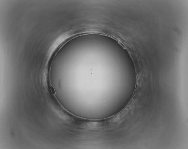 X0000113180152200909181901