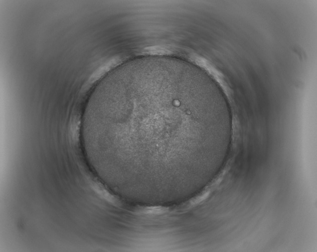 X0000113180153200909181901