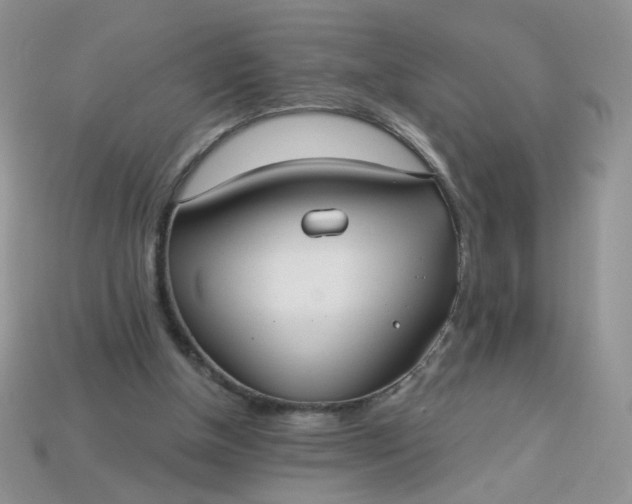 X0000113180154200909181901