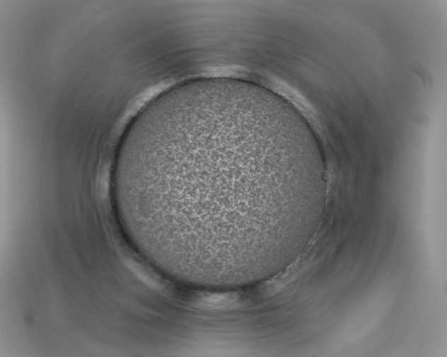 X0000113180155200909181901