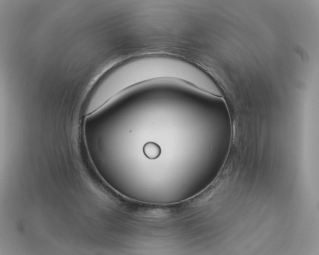 X0000113180156200909181901