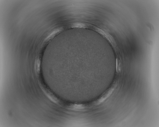 X0000113180157200909181901