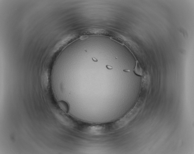 X0000113180158200909181901