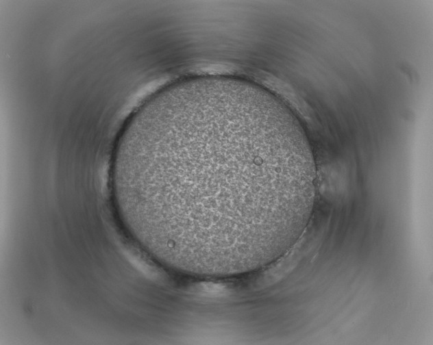 X0000113180159200909181901