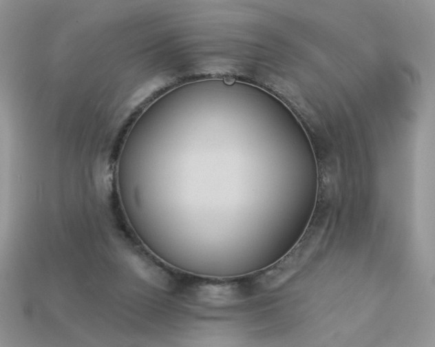 X0000113180160200909181901