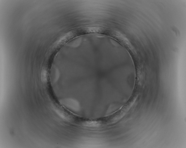 X0000113180161200909181901