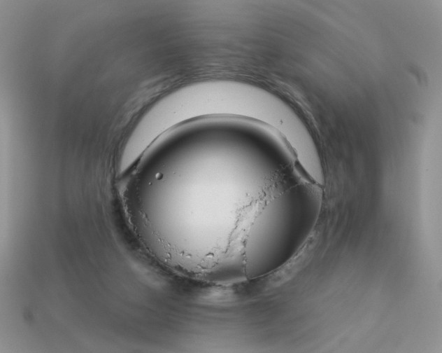 X0000113180162200909181901