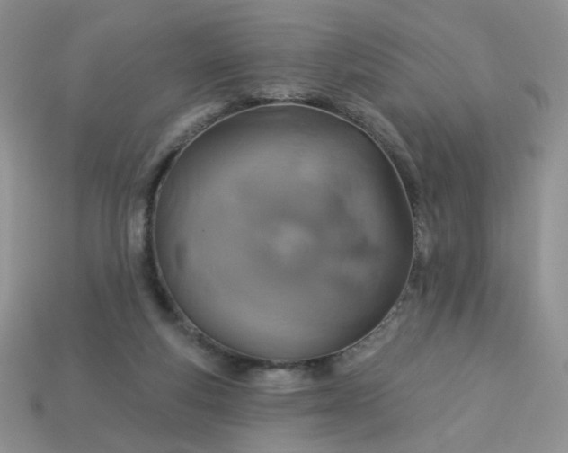 X0000113180163200909181901