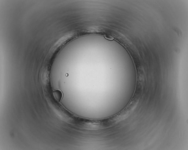 X0000113180164200909181901