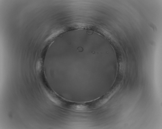 X0000113180165200909181901