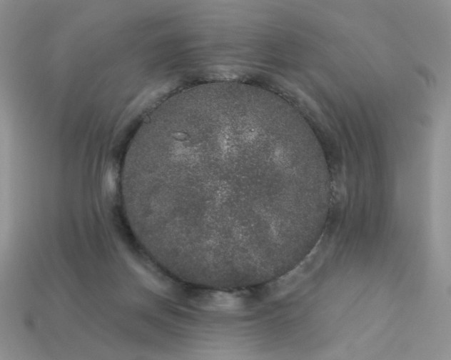 X0000113180166200909181901