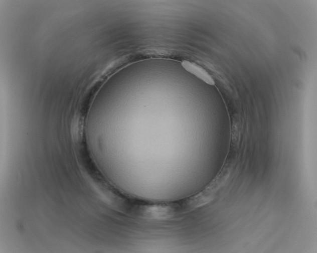 X0000113180168200909181901