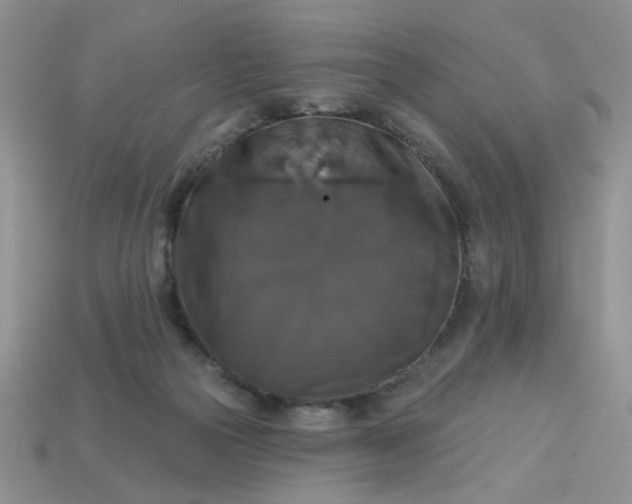 X0000113180169200909181901