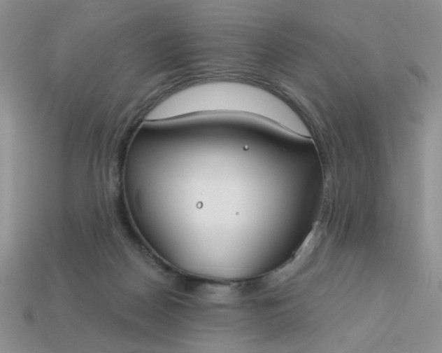 X0000113180170200909181901