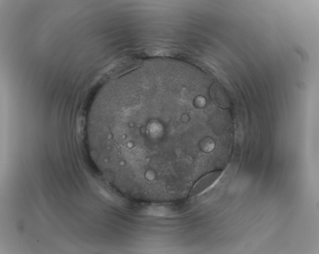 X0000113180171200909181901