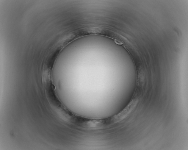 X0000113180172200909181901