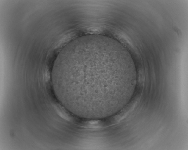 X0000113180173200909181901