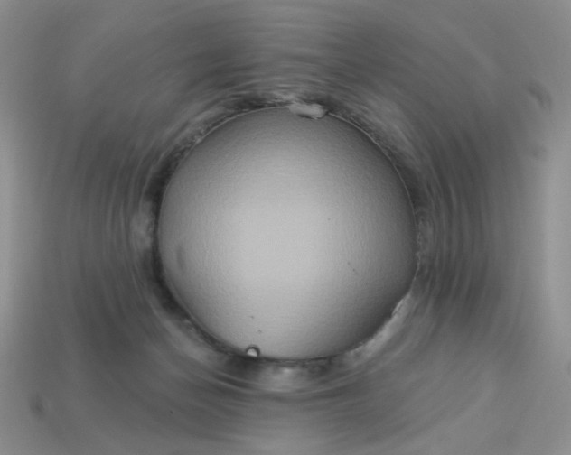 X0000113180174200909181901