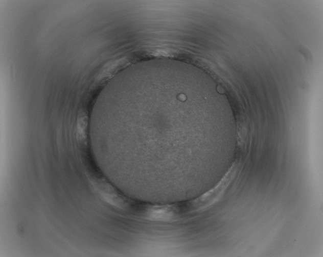 X0000113180175200909181901