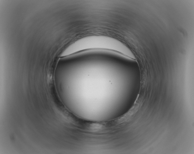 X0000113180176200909181901