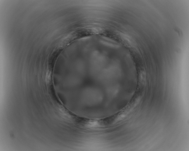 X0000113180177200909181901