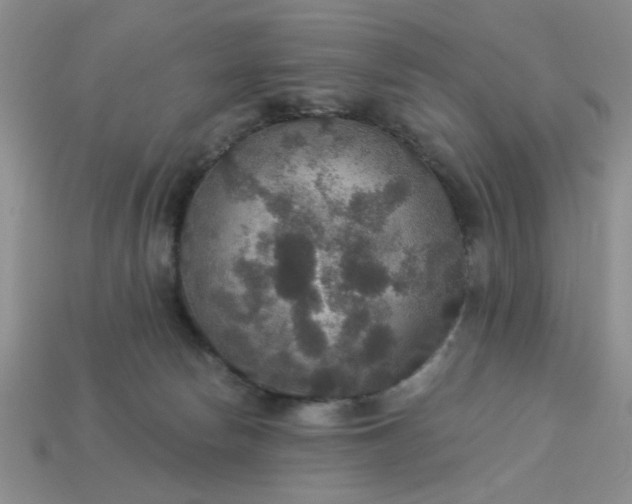 X0000113180178200909181901