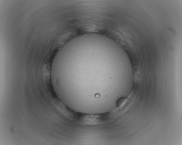 X0000113180179200909181901