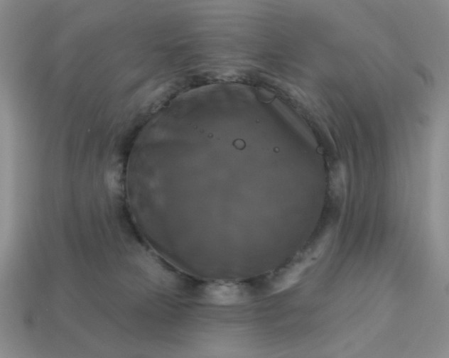 X0000113180181200909181901