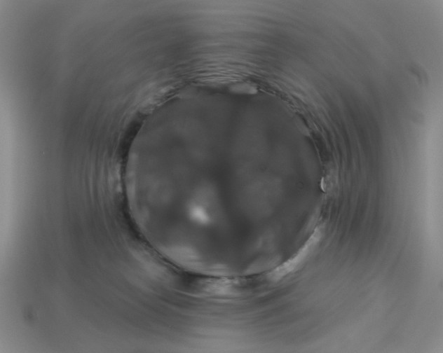 X0000113180182200909181901