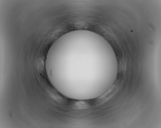 X0000113180183200909181901