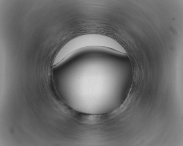 X0000113180184200909181901