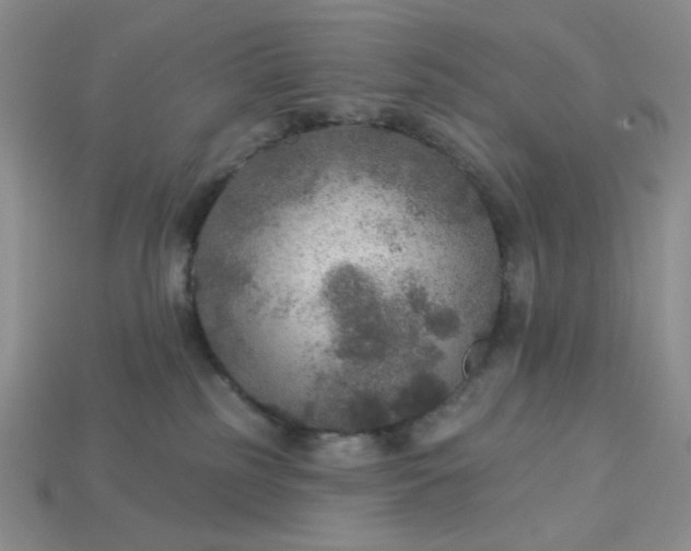 X0000113180185200909181901