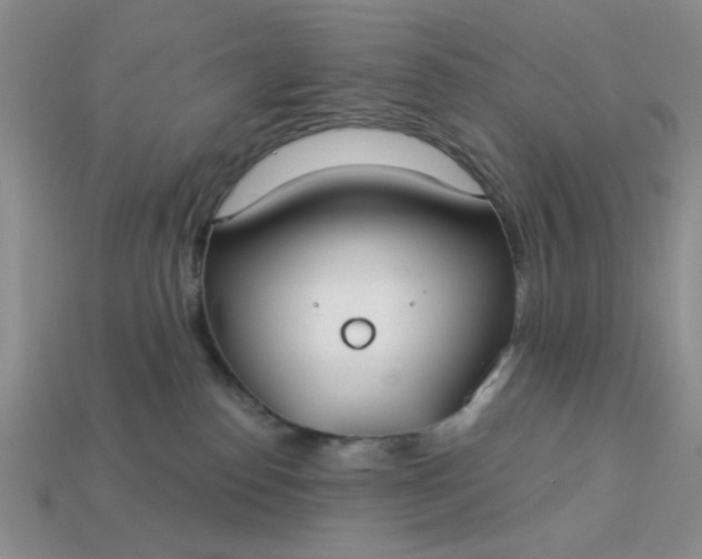 X0000113180186200909181901