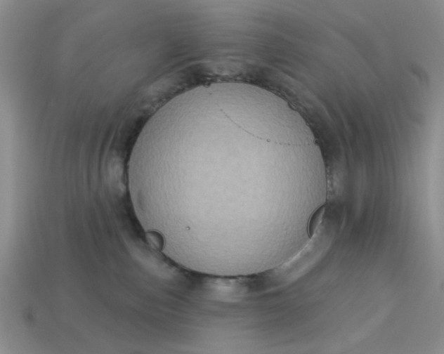 X0000113180187200909181901