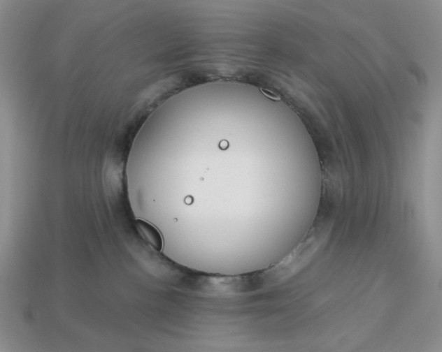 X0000113180188200909181901