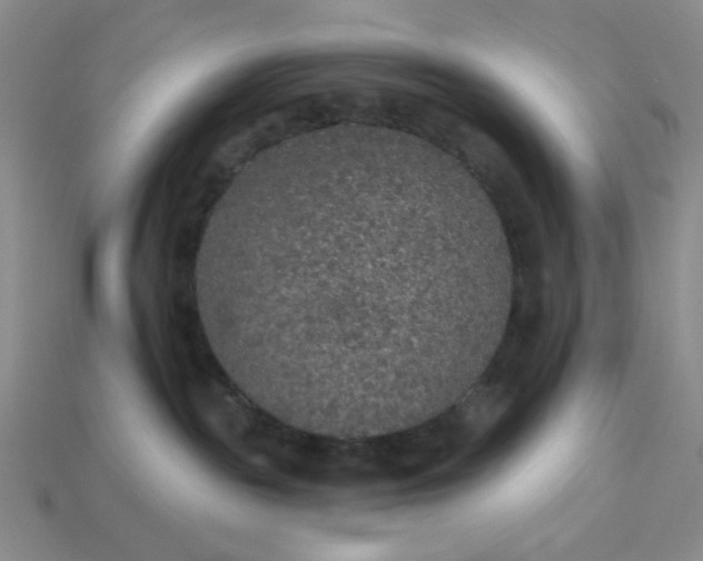 X0000113180189200909181901